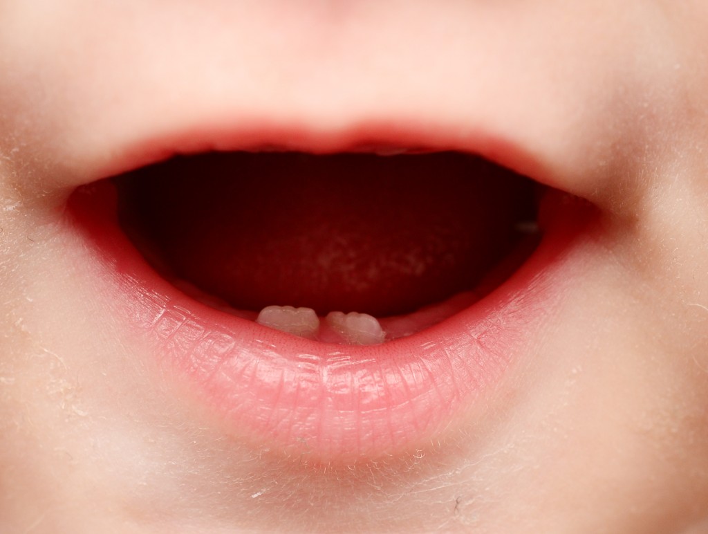 closeup of baby teeth