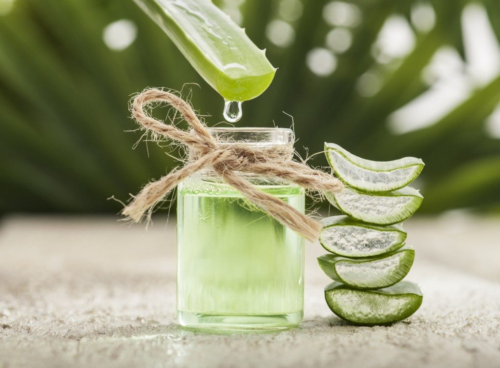 Aloe vera in a glass container