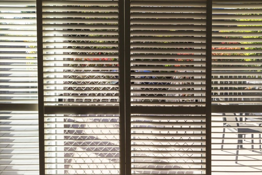 window blinds