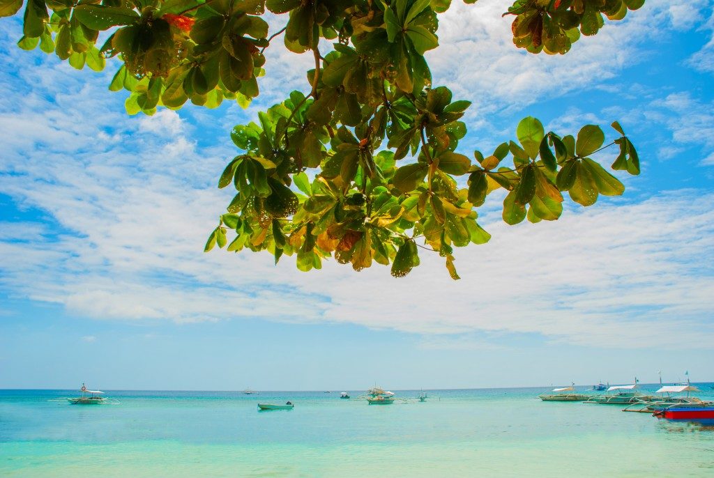 view of beach