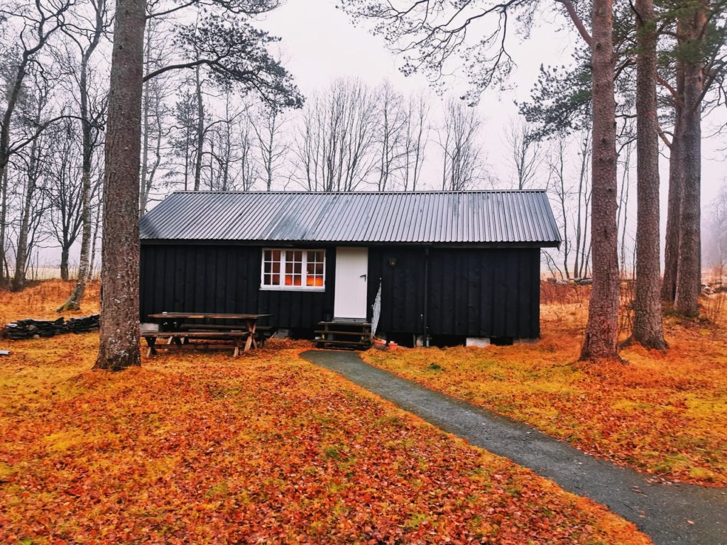 home shed