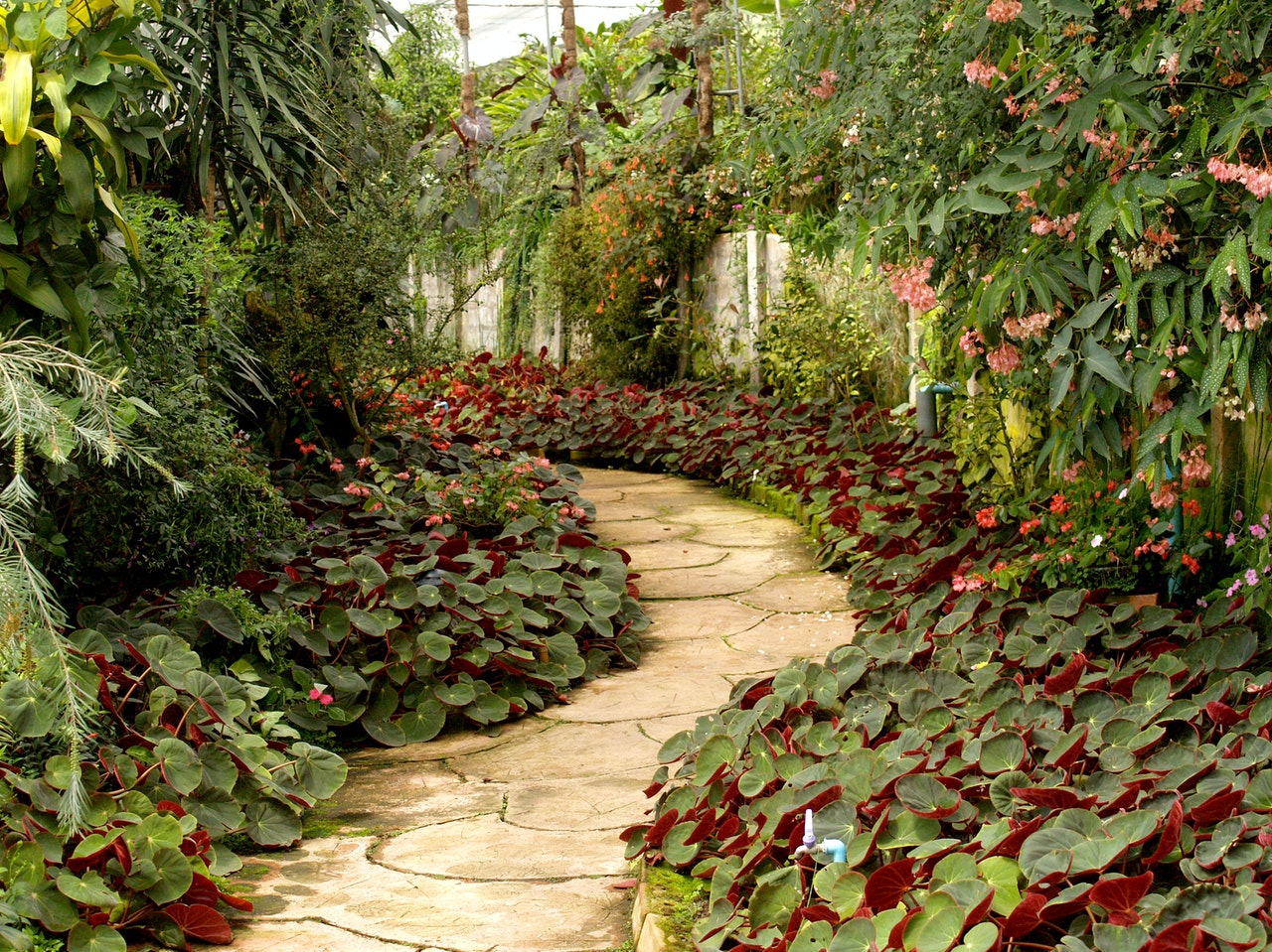 garden with stone path