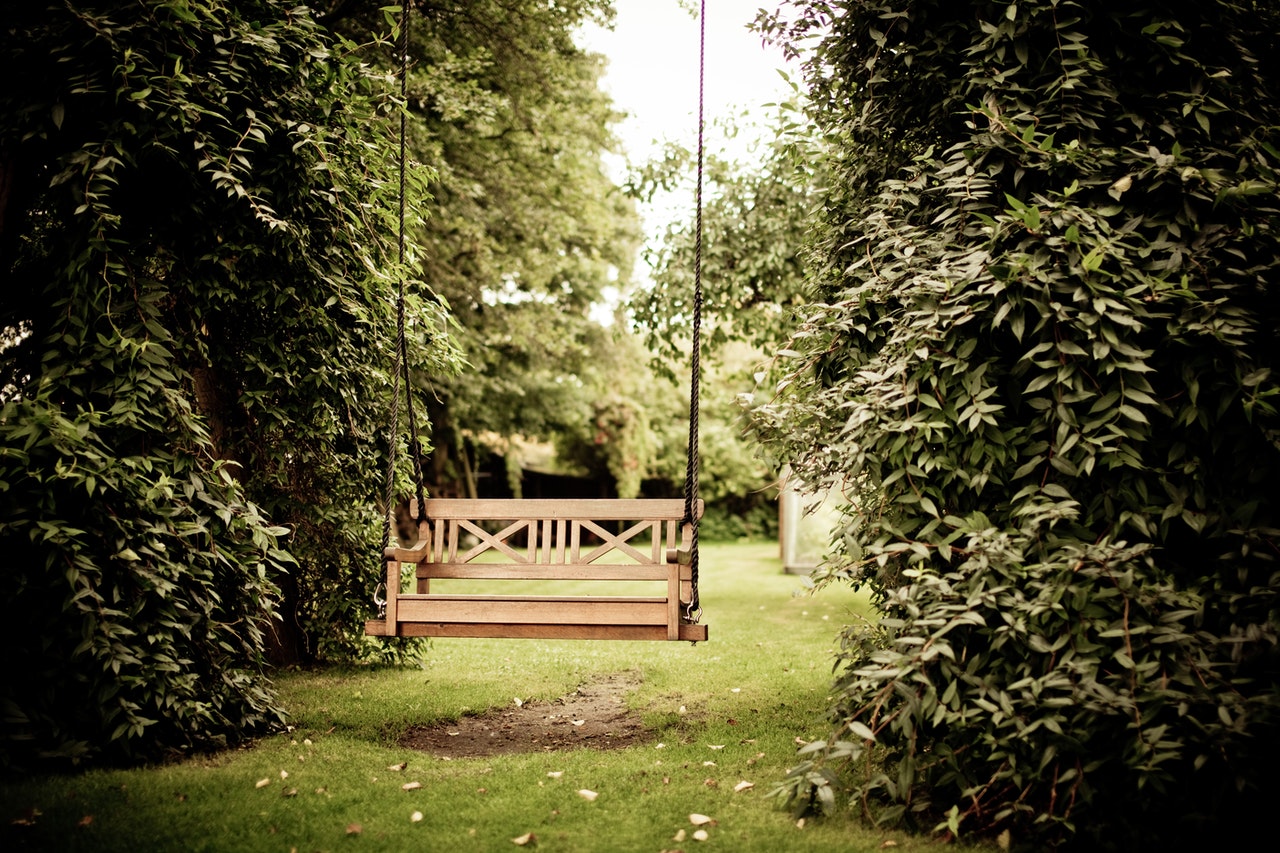 swing in garden
