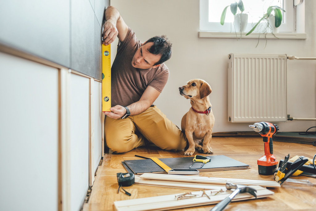 home renovation with dog