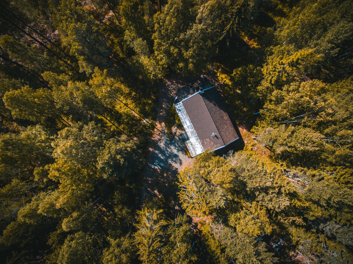 house in the middle of the forest