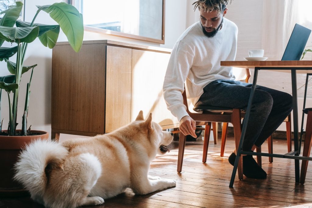 man playing with his dog