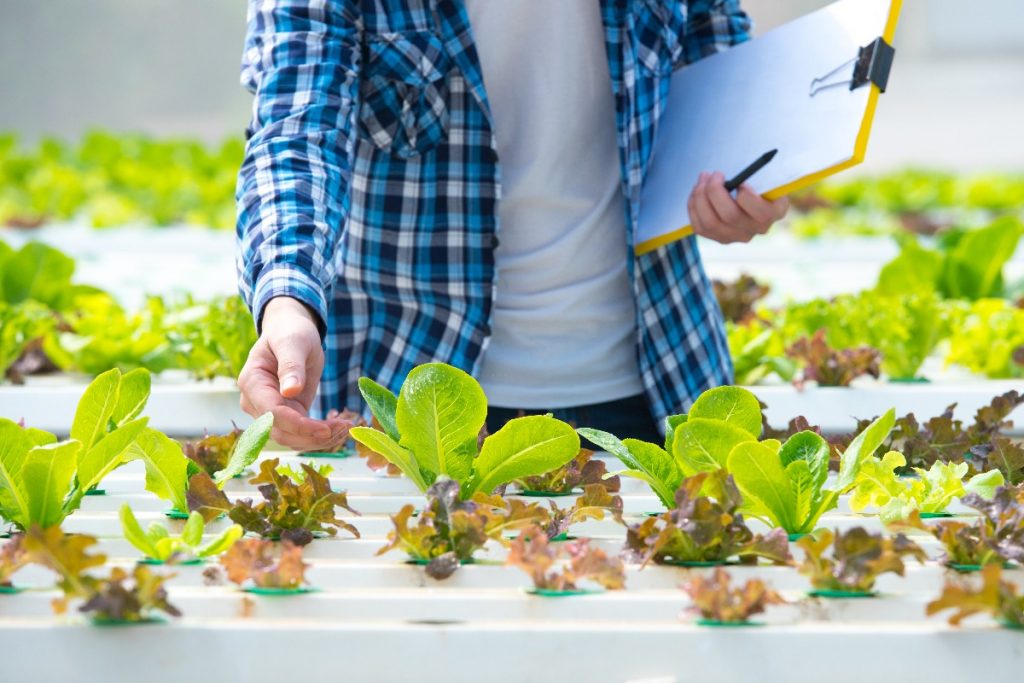 man gardening