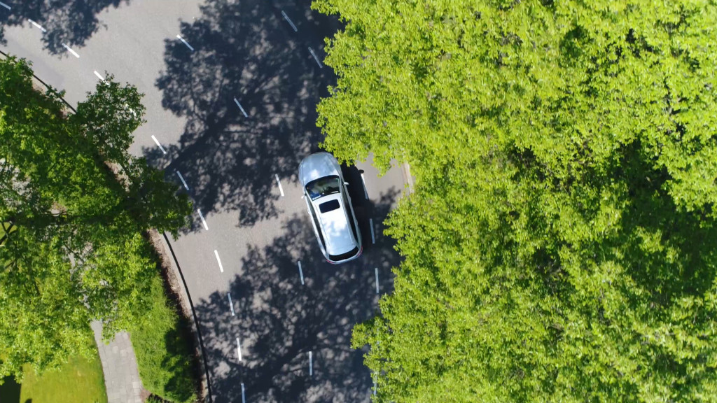 a car driving in a road with trees on the side