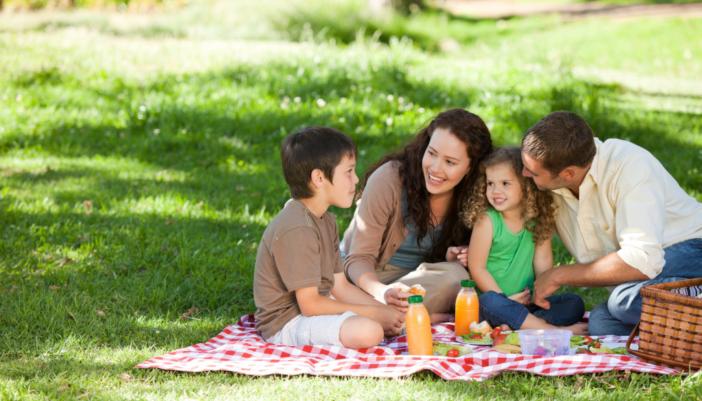 family having a picnic in the park