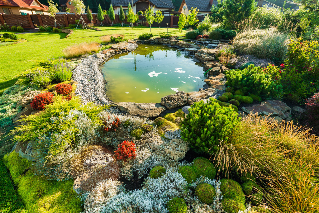Garden in the backyard with a water feature.